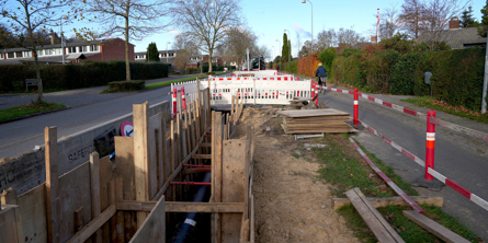 tree on body of water near mountains